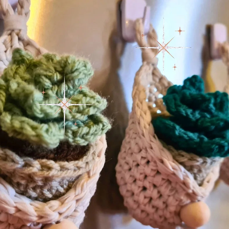 Mini Succulent Hanging Planter